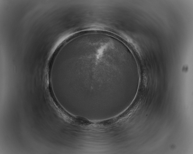 X0000098191368200804241234