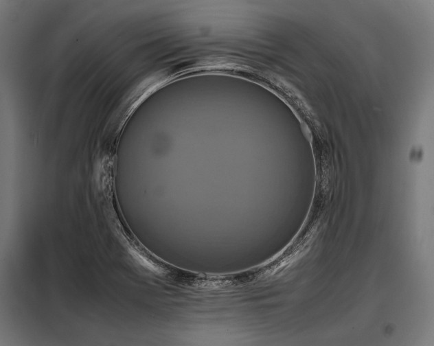 X0000098191369200804241234