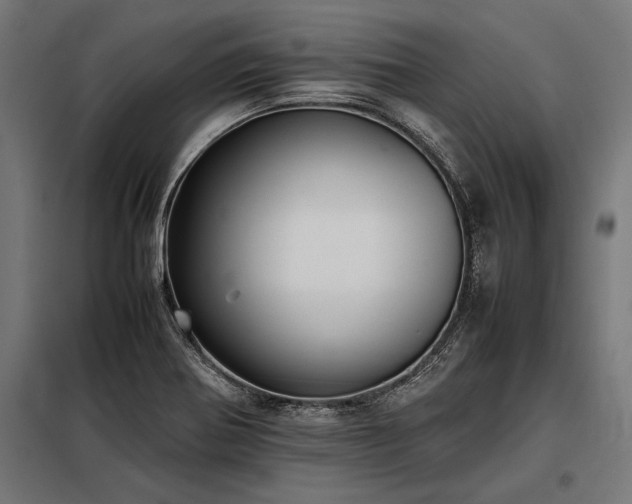 X0000098191370200804241234