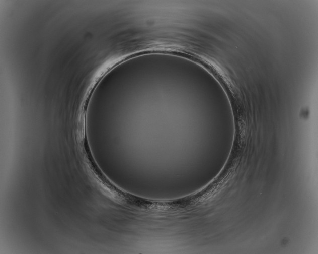 X0000098191371200804241234