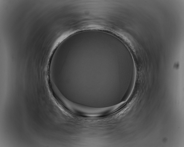 X0000098191373200804241234
