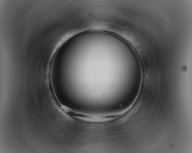 X0000098191374200804241234