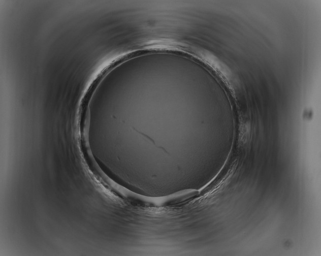 X0000098191376200804241234