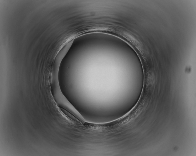 X0000098191377200804241234