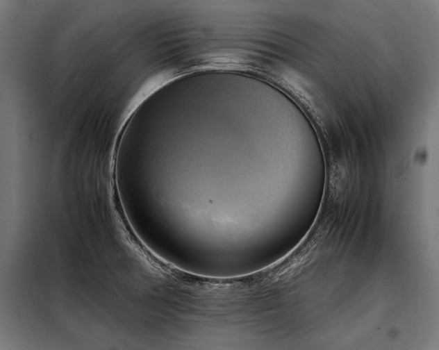 X0000098191378200804241234