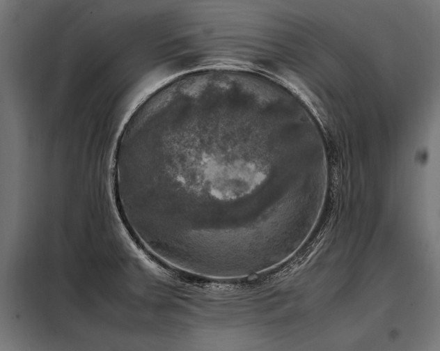 X0000098191379200804241234