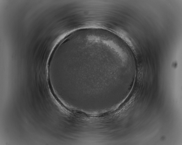 X0000098191380200804241234