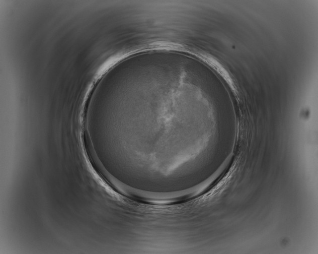 X0000098191381200804241234