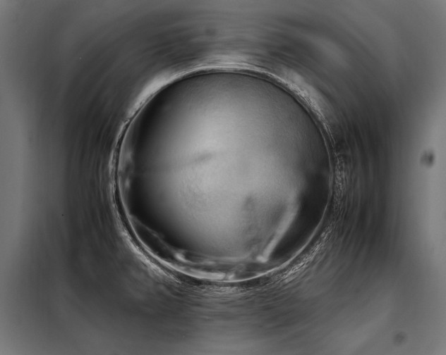 X0000098191382200804241234