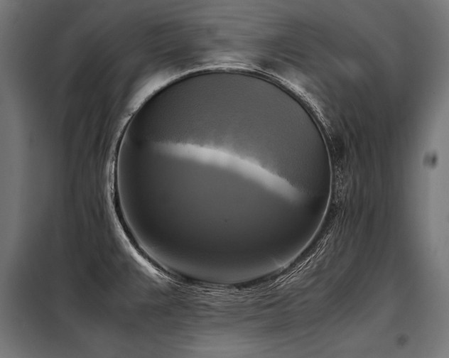 X0000098191383200804241234