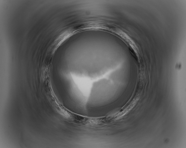 X0000098191385200804241234