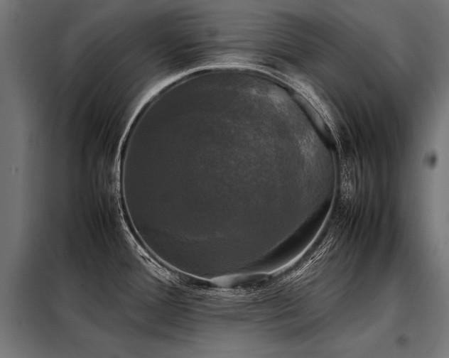 X0000098191388200804241234