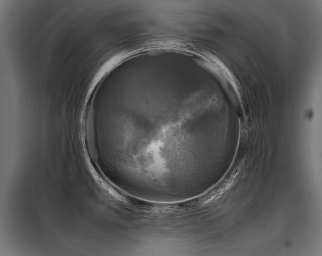 X0000098191389200804241234