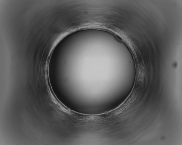 X0000098191390200804241234