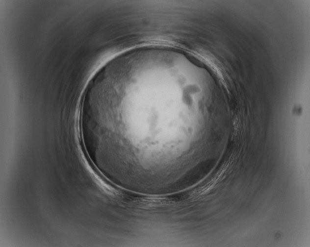 X0000098191391200804241234