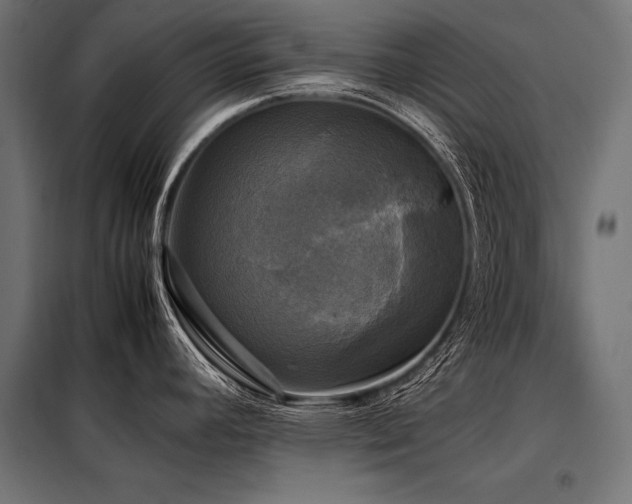 X0000098191392200804241234