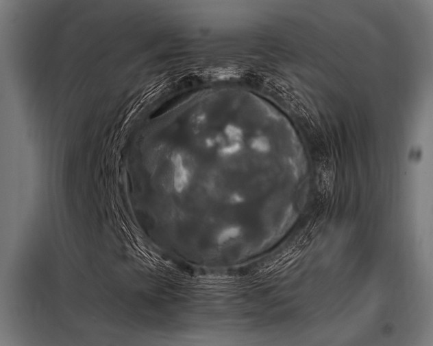 X0000098191393200804241233