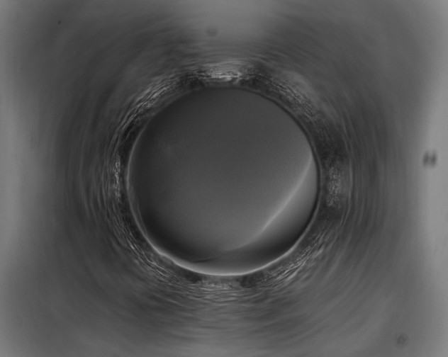 X0000098191394200804241233
