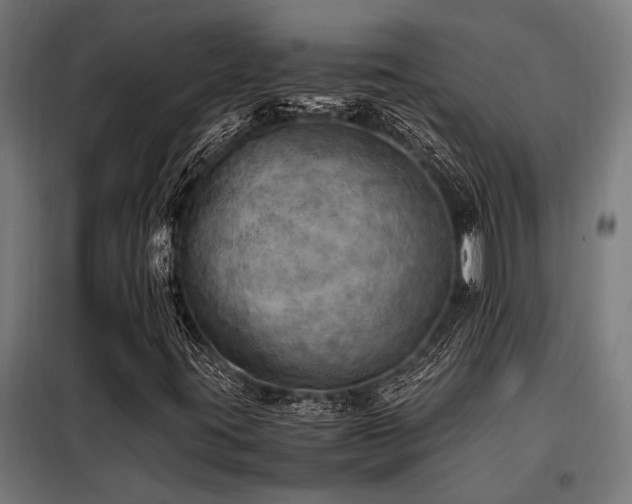 X0000098191395200804241233