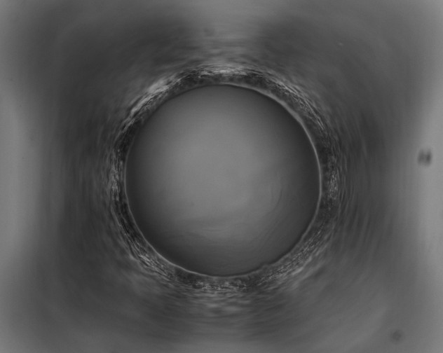 X0000098191397200804241233