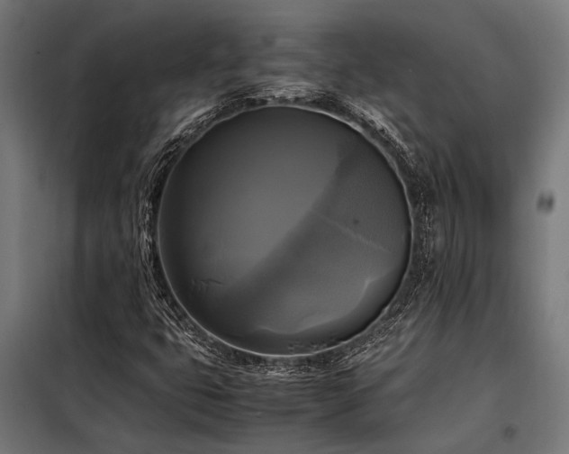 X0000098191399200804241233