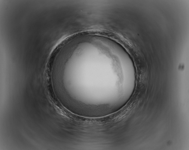 X0000098191400200804241233