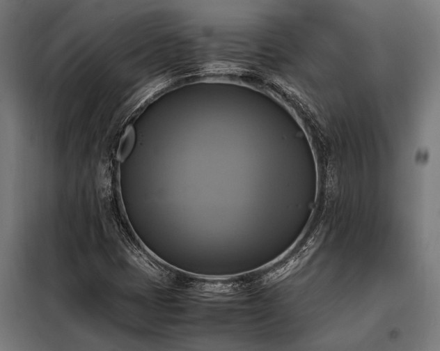 X0000098191401200804241233
