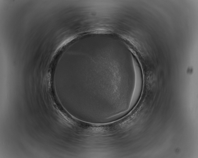 X0000098191402200804241233