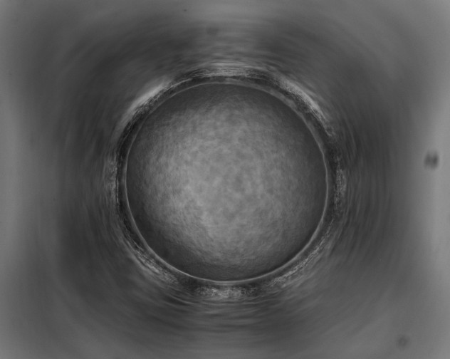 X0000098191403200804241233