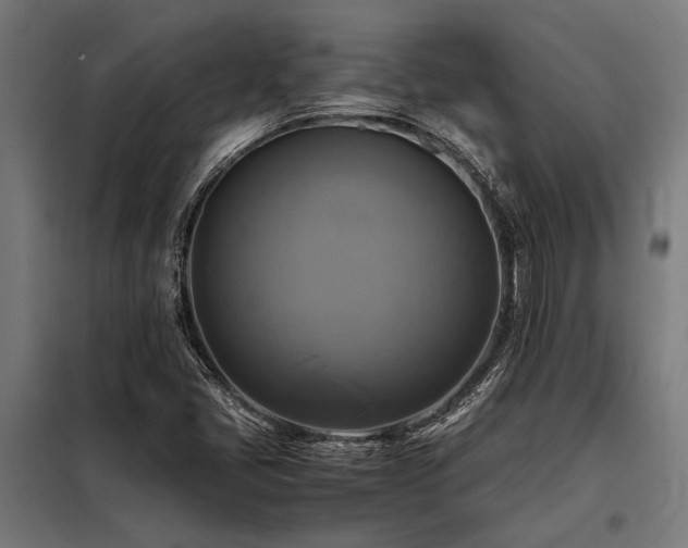 X0000098191405200804241234