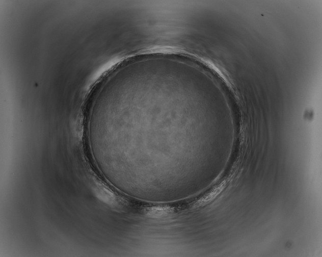 X0000098191406200804241234