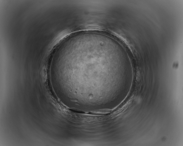 X0000098191407200804241234