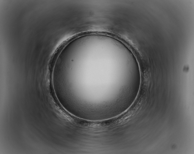 X0000098191408200804241234