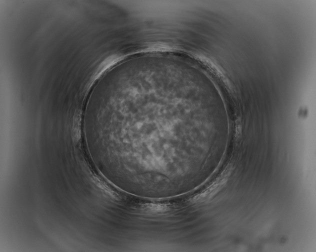 X0000098191409200804241234