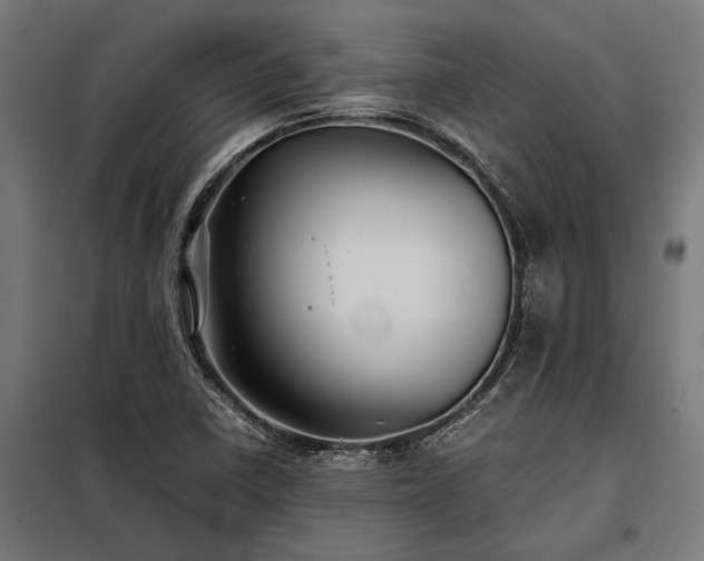 X0000098191410200804241234