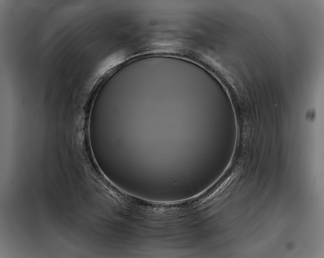X0000098191411200804241234