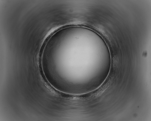 X0000098191412200804241234