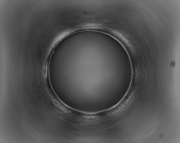 X0000098191413200804241234