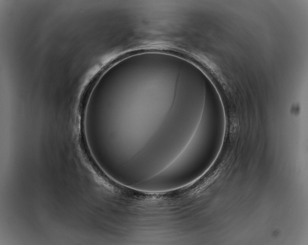 X0000098191414200804241234