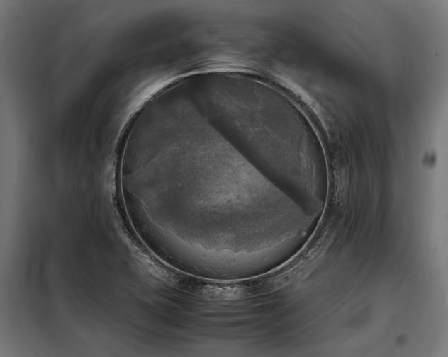 X0000098191415200804241234