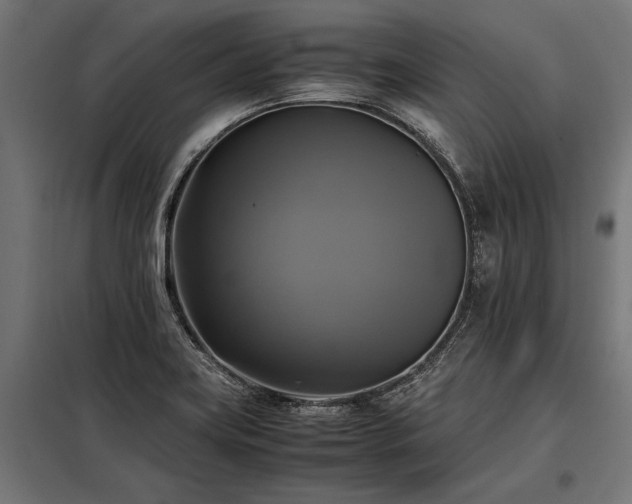 X0000098191419200804241234