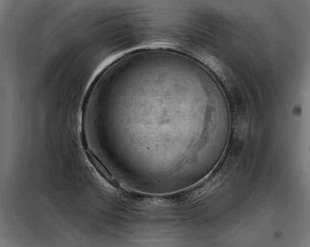 X0000098191420200804241234