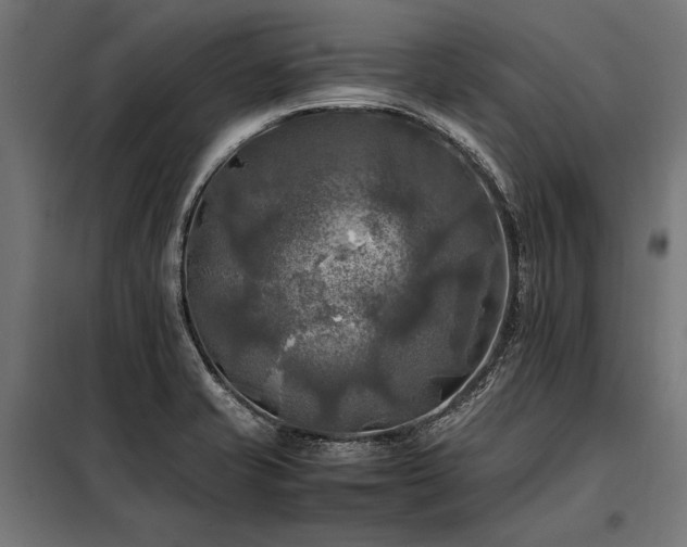 X0000098191421200804241234