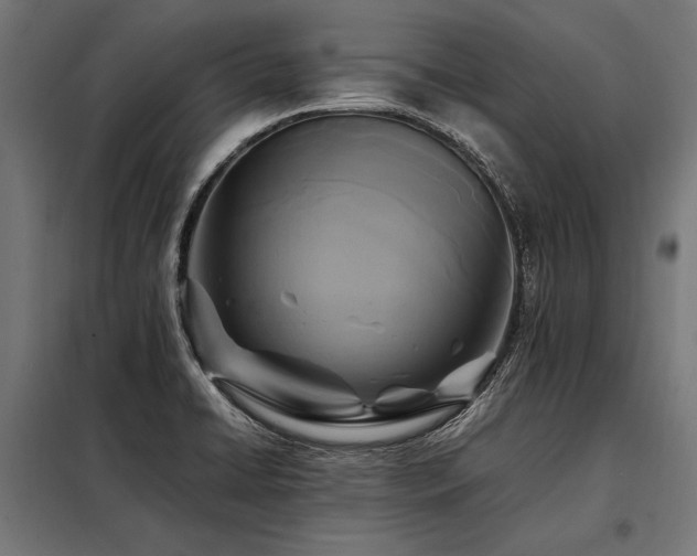 X0000098191422200804241234