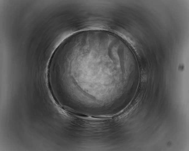 X0000098191423200804241234