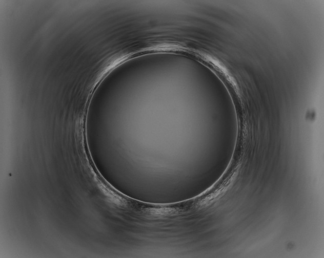 X0000098191425200804241234