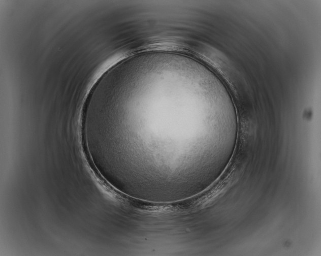 X0000098191426200804241234