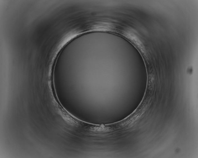 X0000098191427200804241234