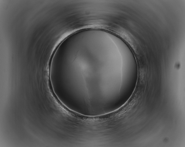 X0000098191428200804241234