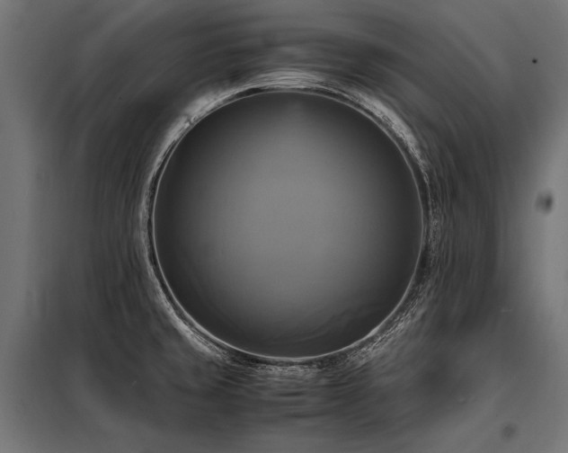 X0000098191429200804241234